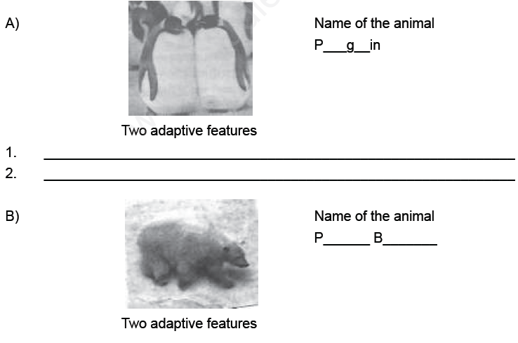 cbse-class-7-science-weather-climate-and-adaptation-of-animals-to